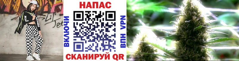 Где можно купить наркотики Кохма Псилоцибиновые грибы ГАШ Каннабис