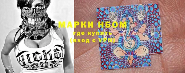 прущий лед Алзамай