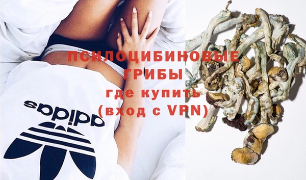 прущий лед Алзамай