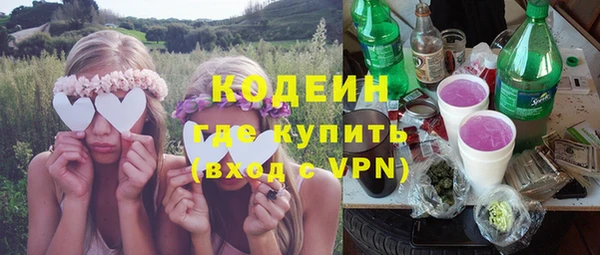 прущий лед Алзамай