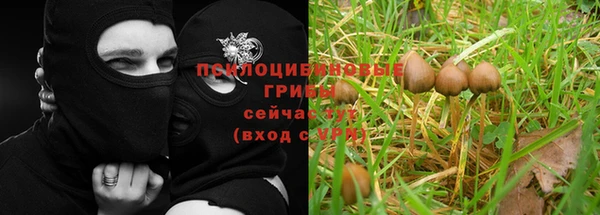 Альфа ПВП Алексин