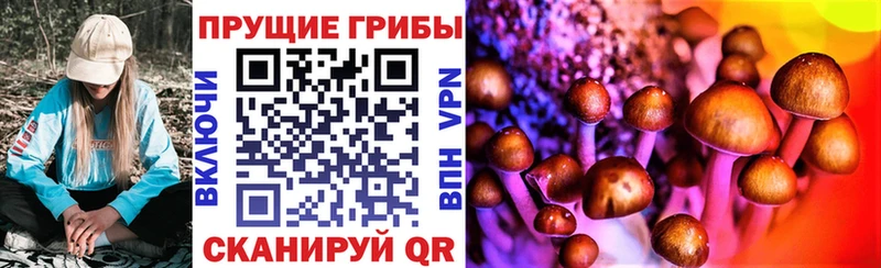 блэк спрут онион  Кохма  Псилоцибиновые грибы прущие грибы 